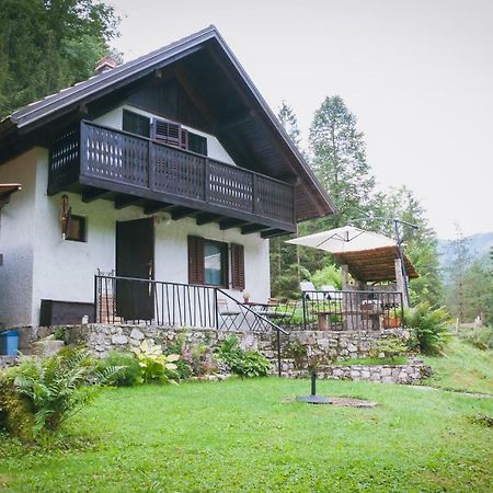 Naturalina Holiday House Gorenja Trebusa Ngoại thất bức ảnh