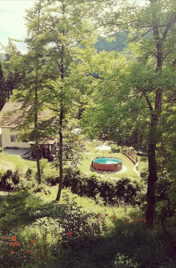 Naturalina Holiday House Gorenja Trebusa Ngoại thất bức ảnh