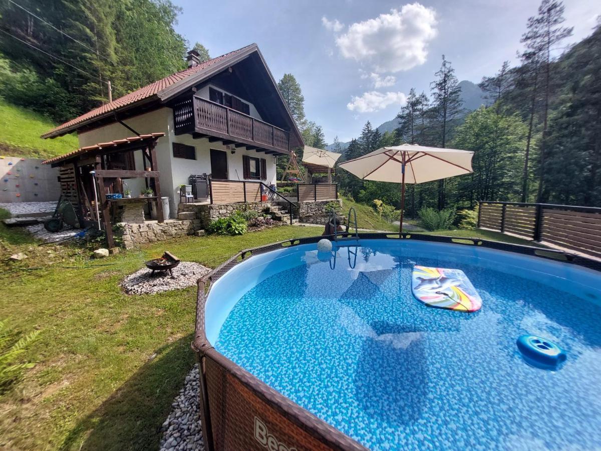 Naturalina Holiday House Gorenja Trebusa Ngoại thất bức ảnh