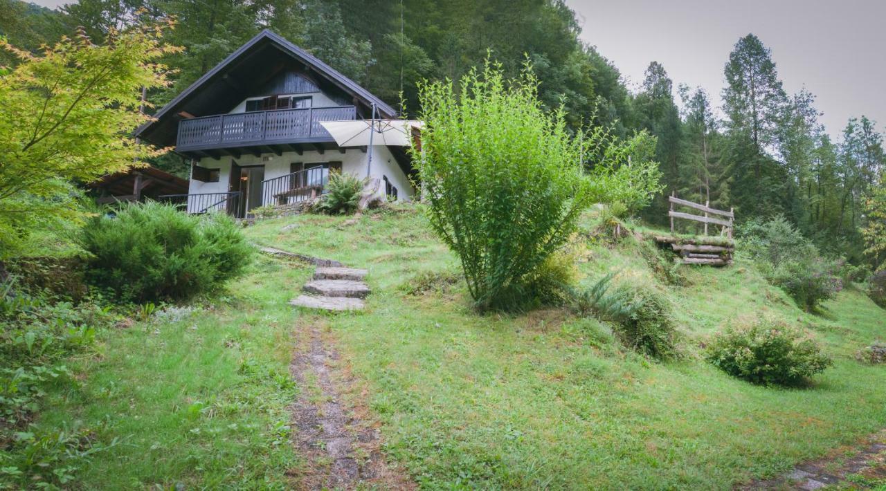 Naturalina Holiday House Gorenja Trebusa Ngoại thất bức ảnh