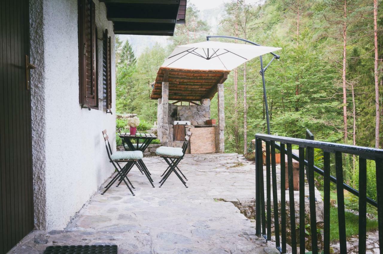 Naturalina Holiday House Gorenja Trebusa Ngoại thất bức ảnh